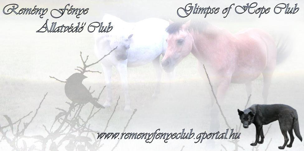 Remny Fnye Club - 